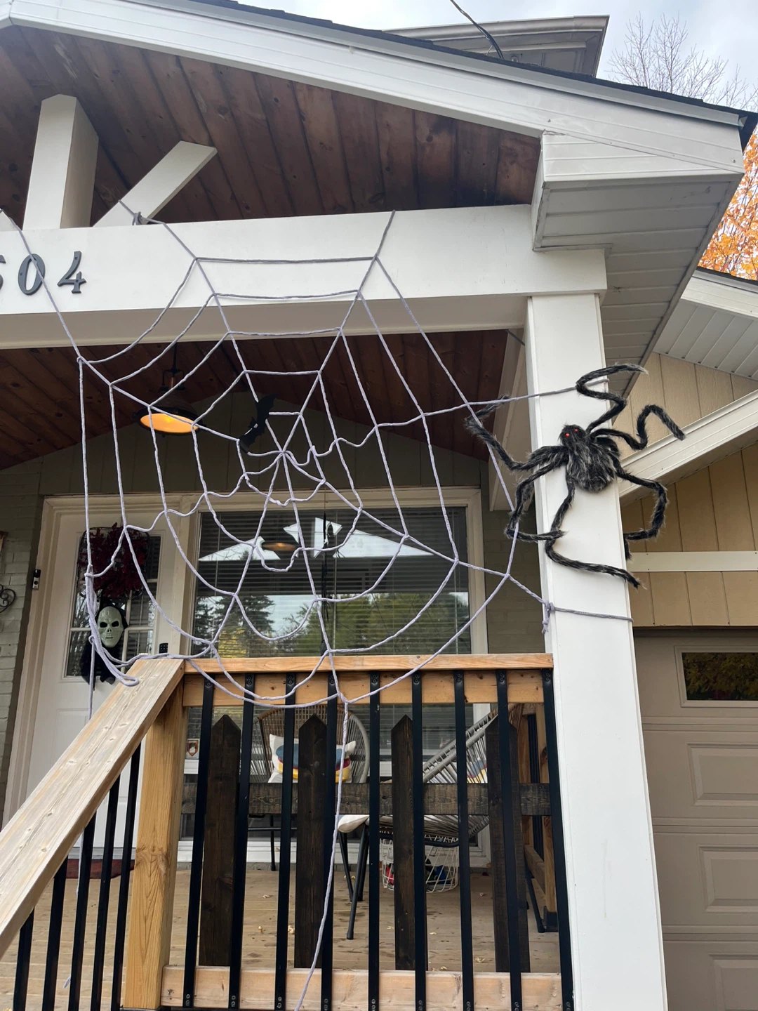 For Living Indoor Furry Spider with Web (New)
