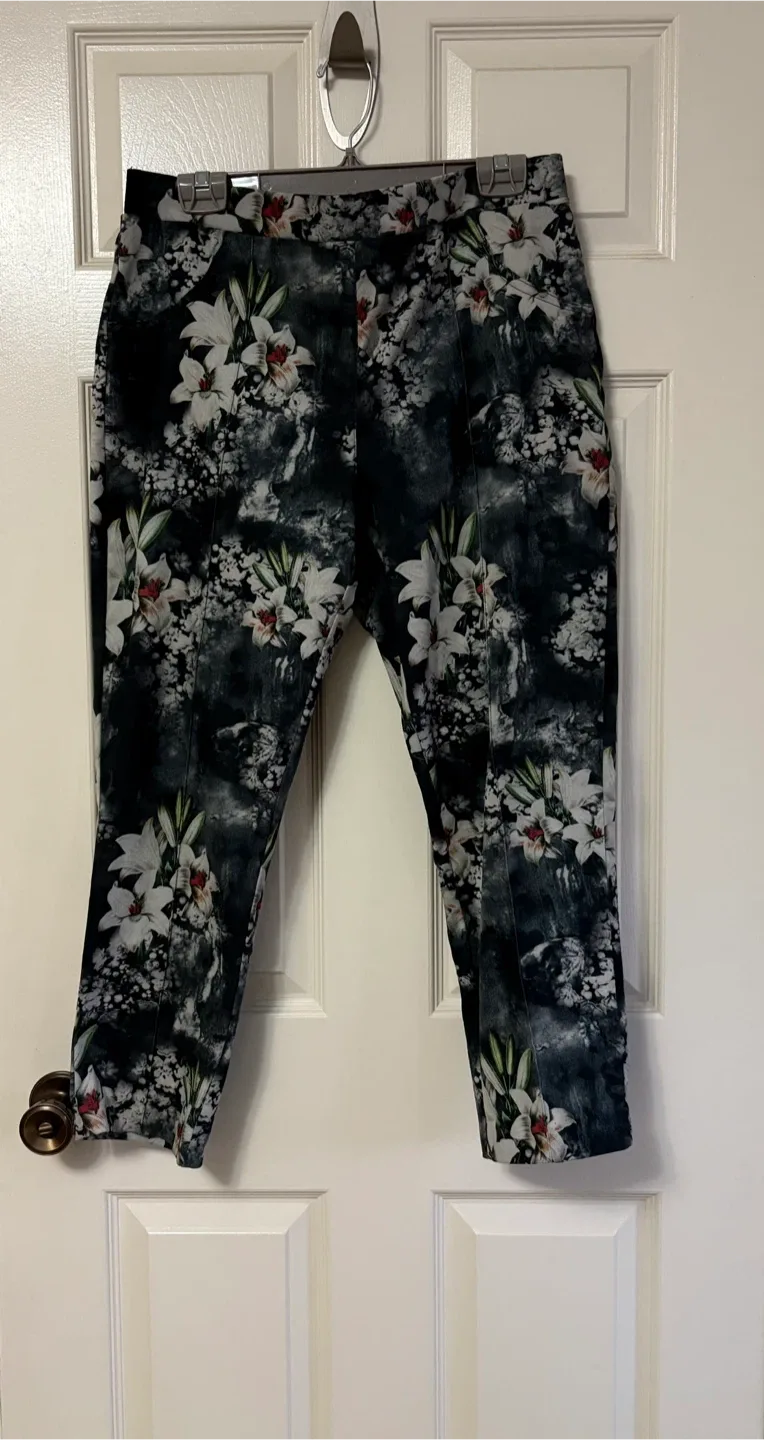 Joseph Ribkoff Jeggings - Sz L (17”W) image indicator(2)