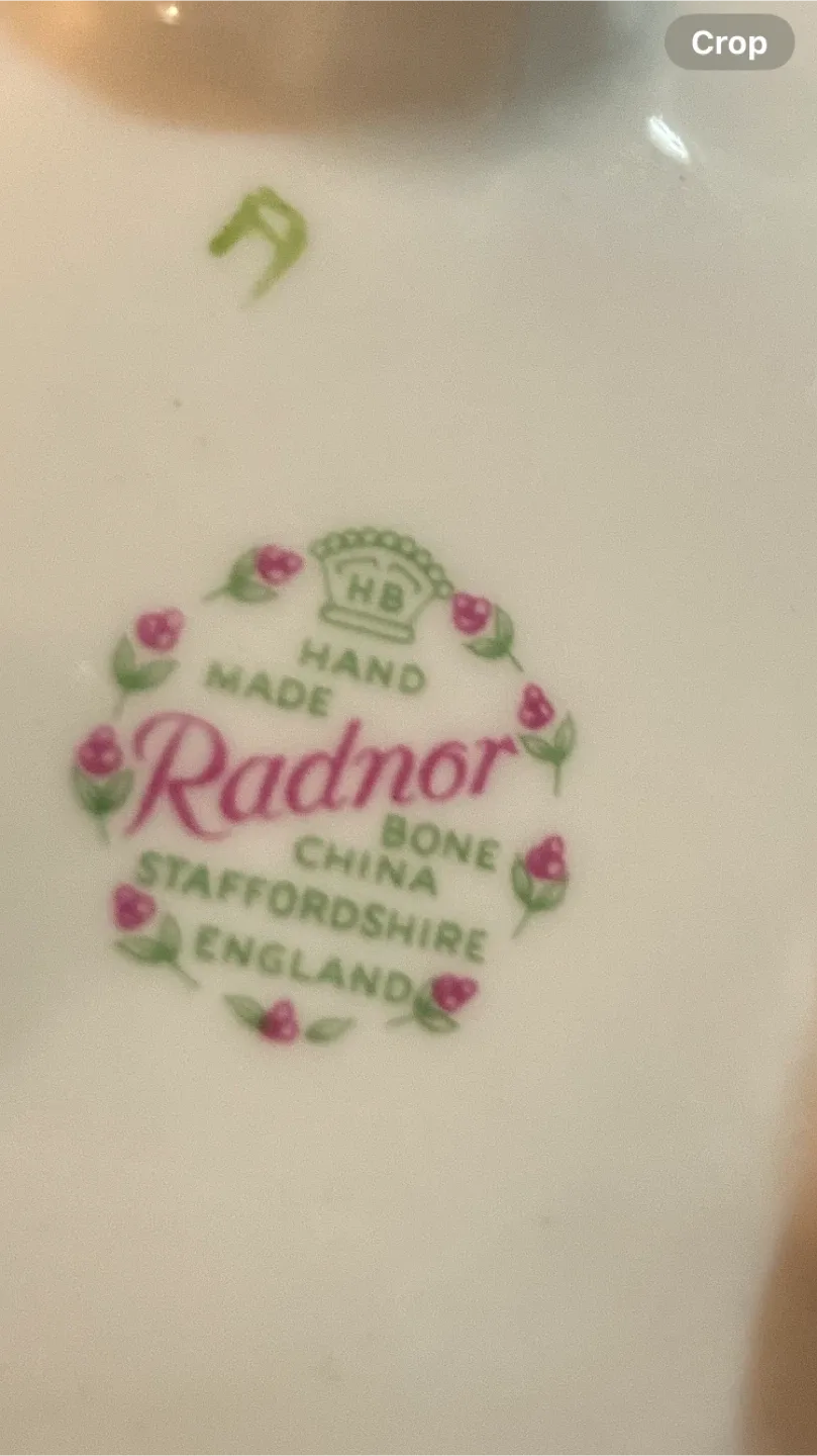 Vintage Radner Bone China flower Posey image indicator(6)