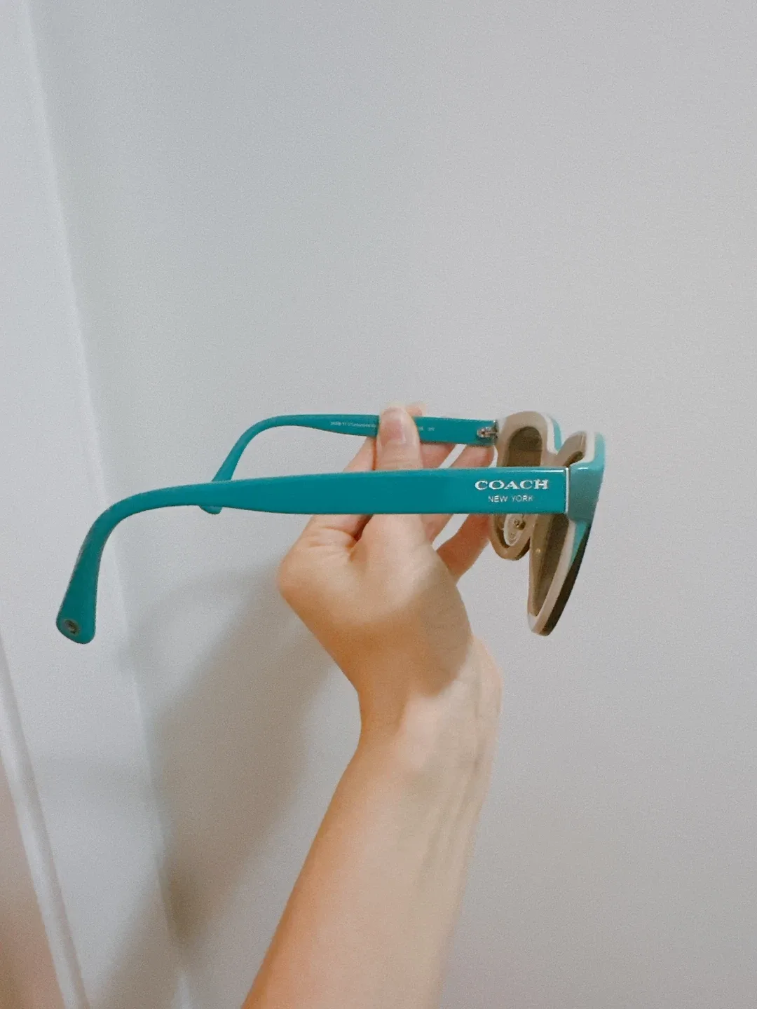 Coach HC8047 Casey Sunglasses image indicator(4)