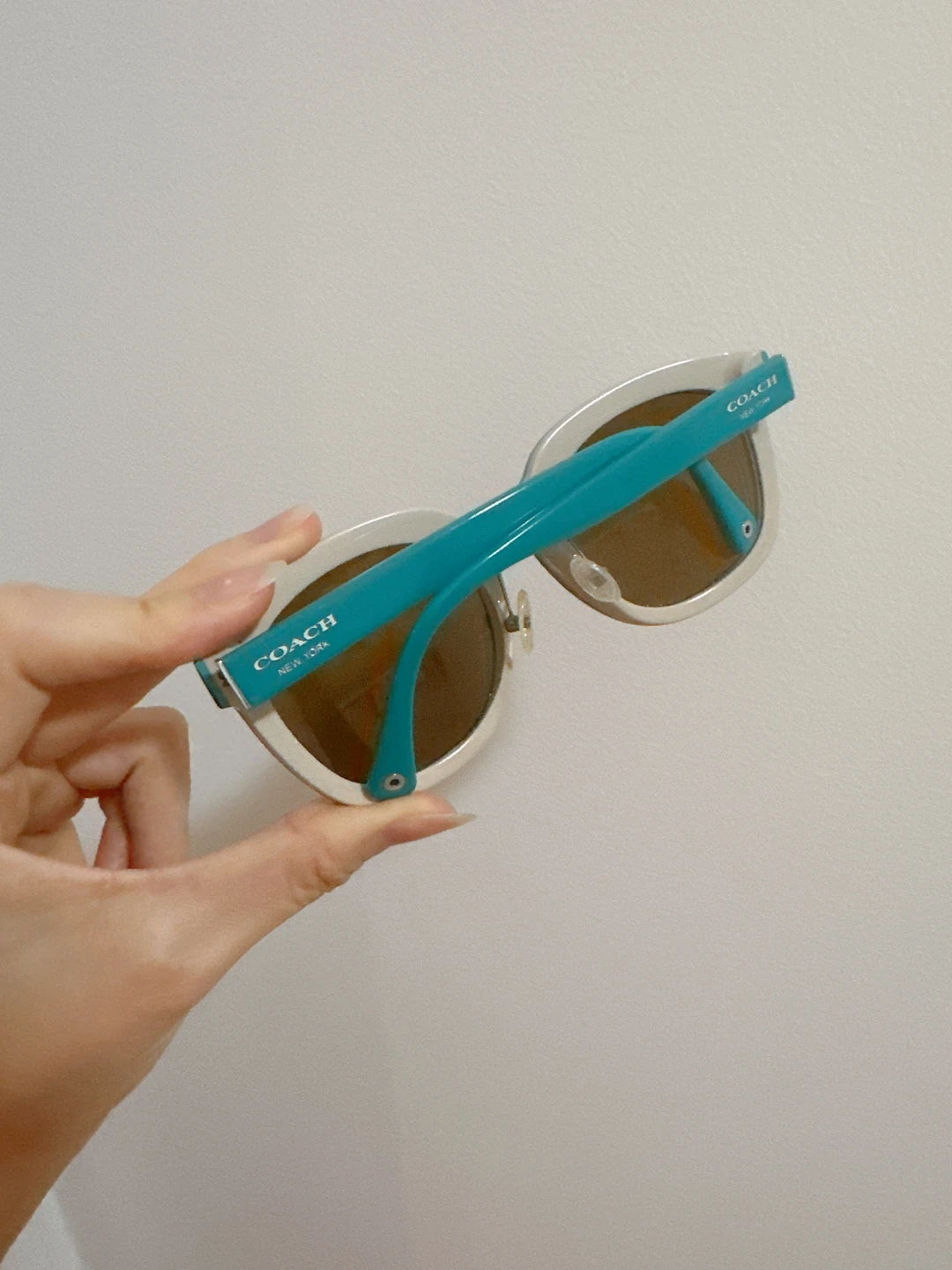 Coach HC8047 Casey Sunglasses
