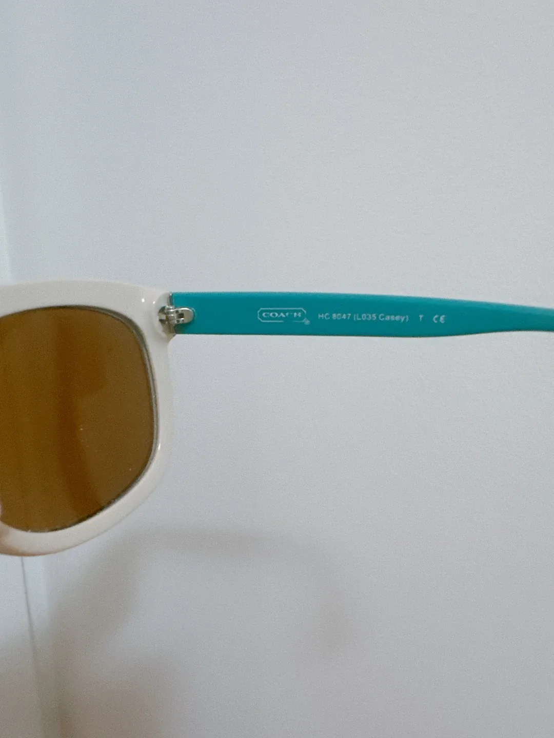 Coach HC8047 Casey Sunglasses image indicator(5)