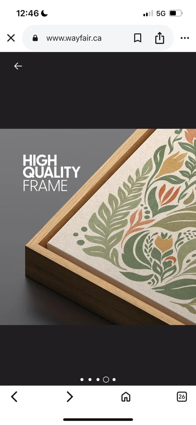 Brand New Floral Framed Canvas Wall Art image indicator(6)