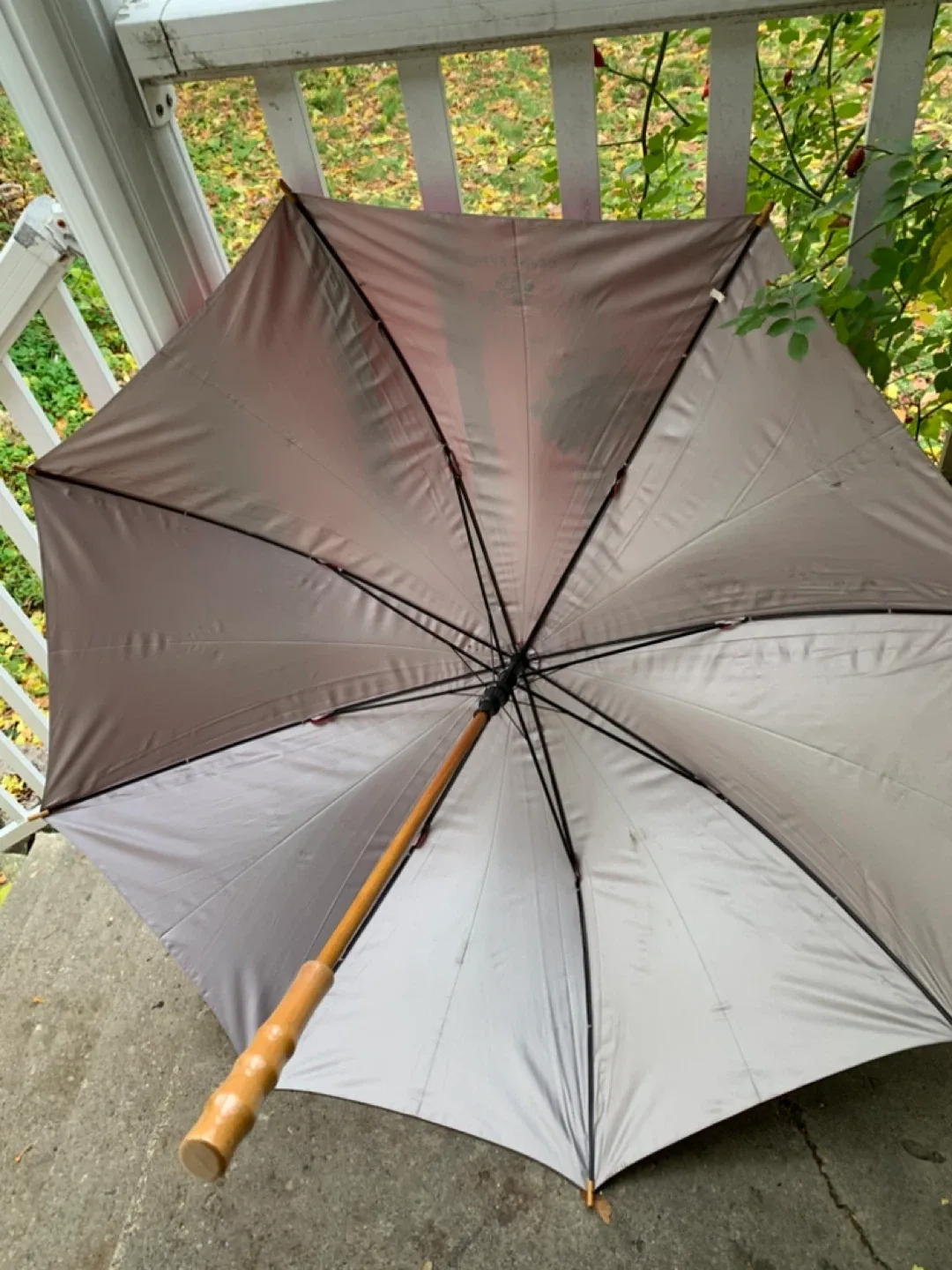 Large Red Umbrella image indicator(5)