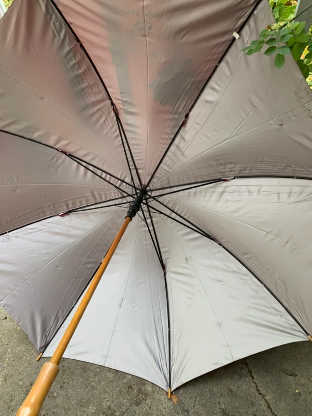 Large Red Umbrella image indicator(4)