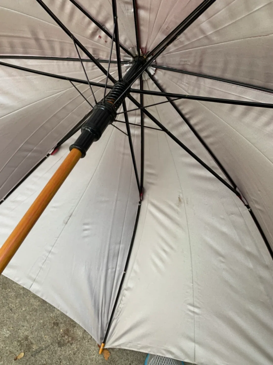 Large Red Umbrella image indicator(7)