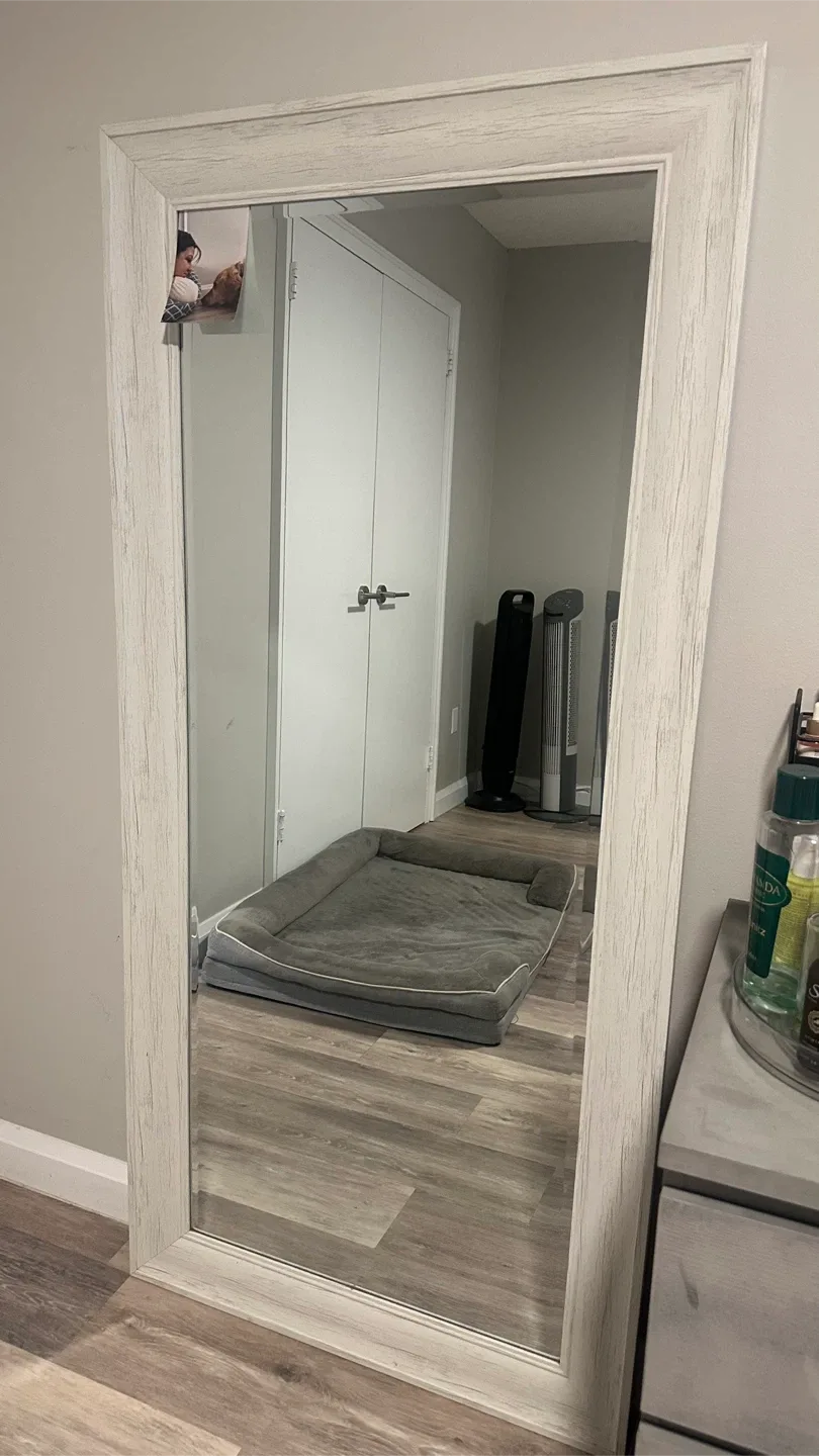 Large Framed Mirror image indicator(2)