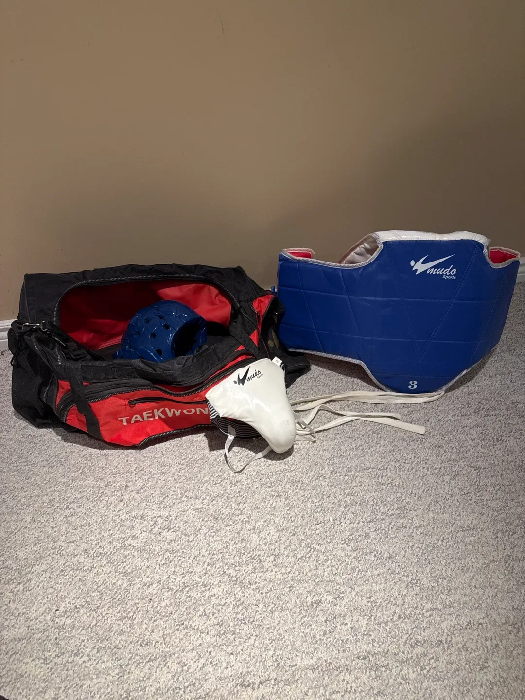 Mudo Sports Taekwondo Chest Guard & Head Gear image indicator(6)