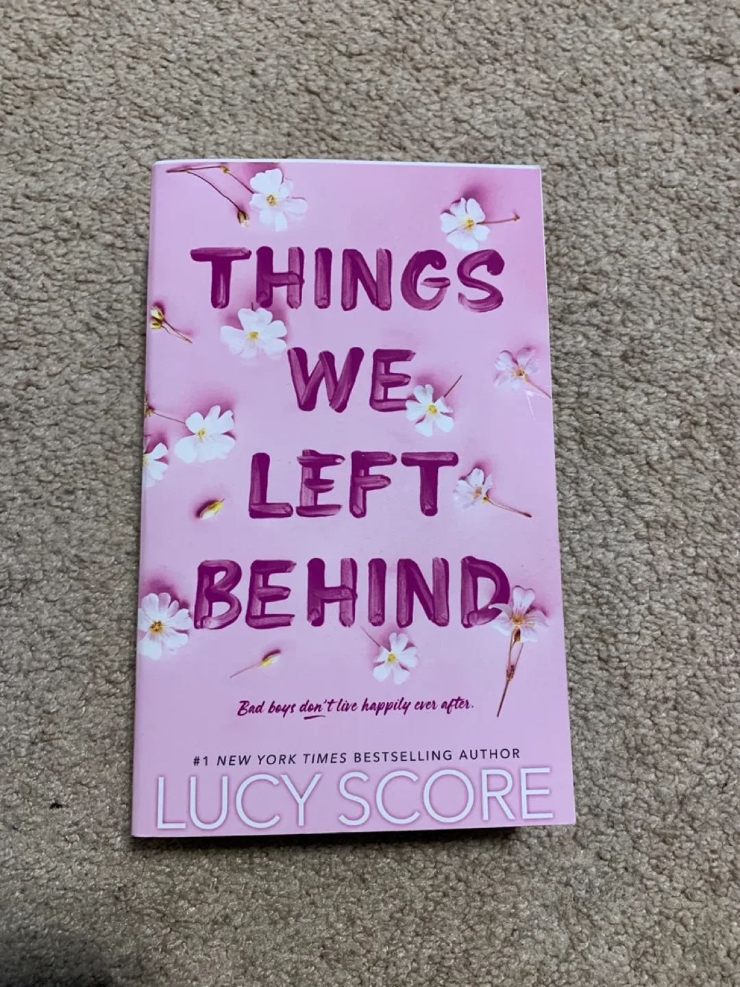 Book Bundle - Lucy Score image indicator(2)