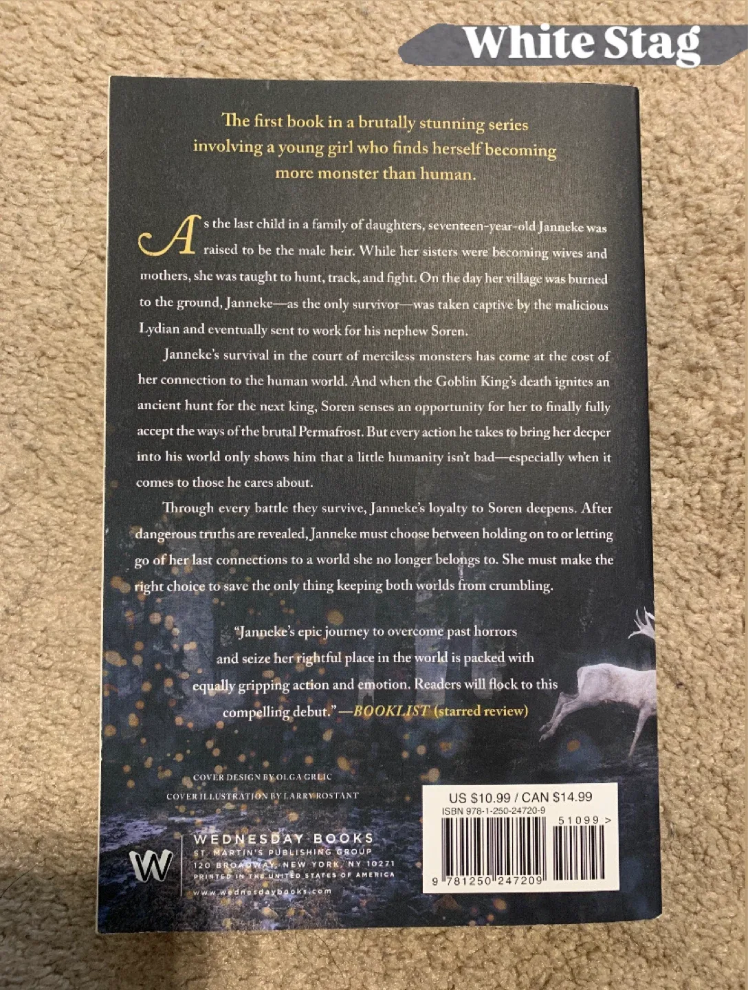 Fantasy Book Collection image indicator(3)