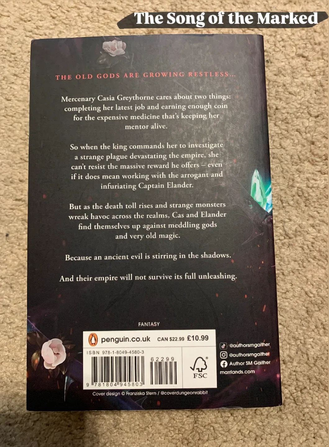 Fantasy Book Collection image indicator(4)