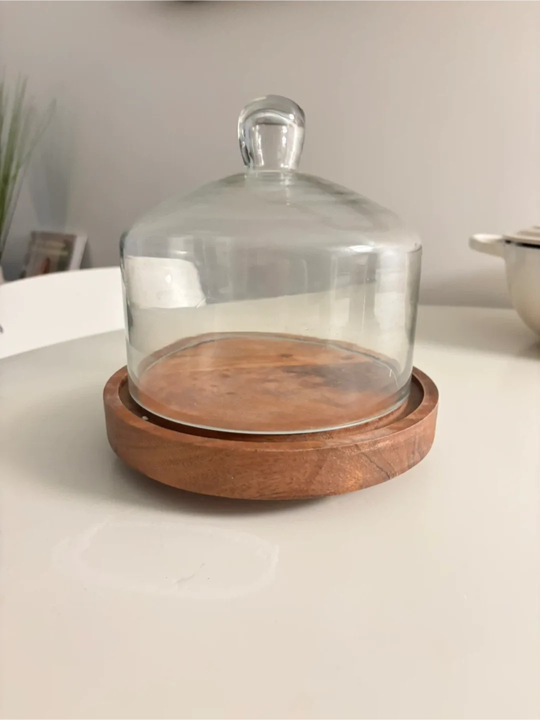 Mango Wood & Glass Cloche Dome