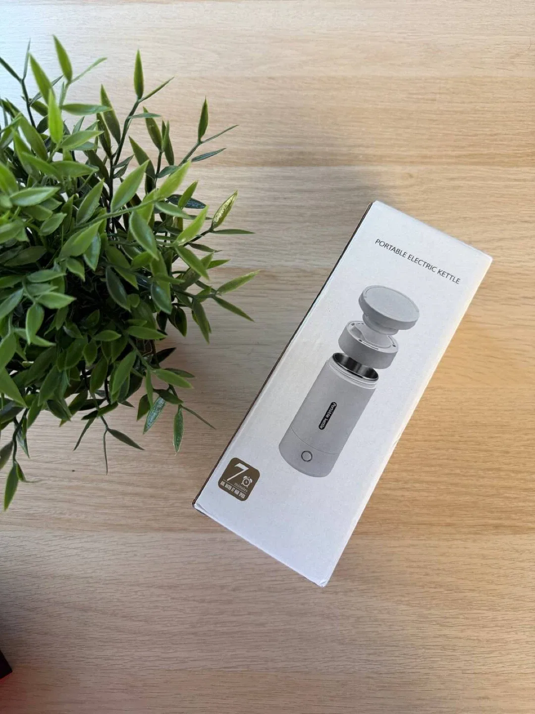 Portable Electric Kettle - New in Box!