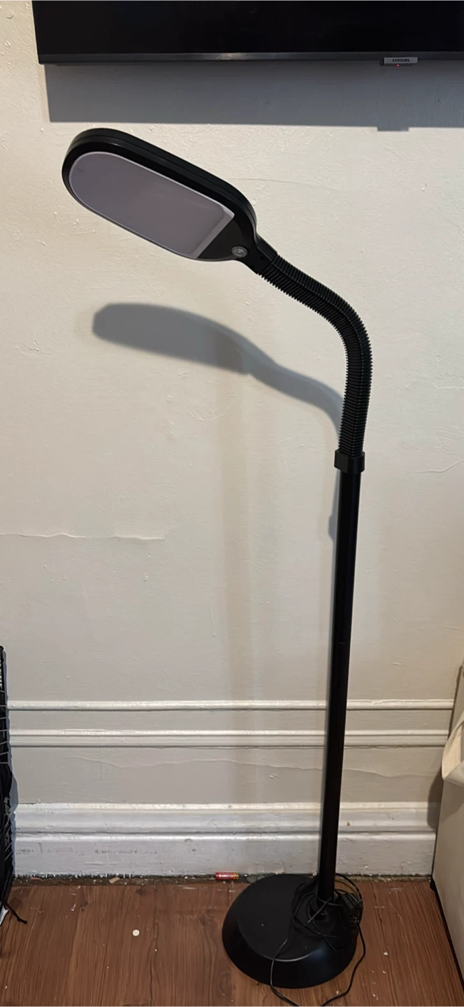 Full Length Mirror (sold) & Black Floor Lamp - photo 2