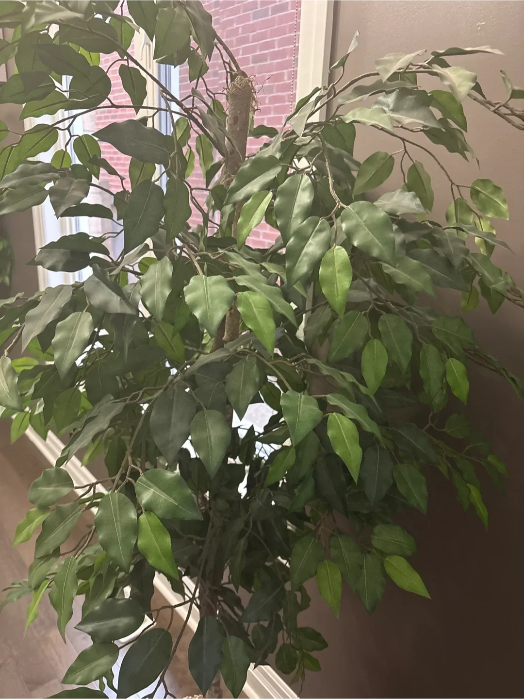 Artificial Ficus Tree in Pot image indicator(2)