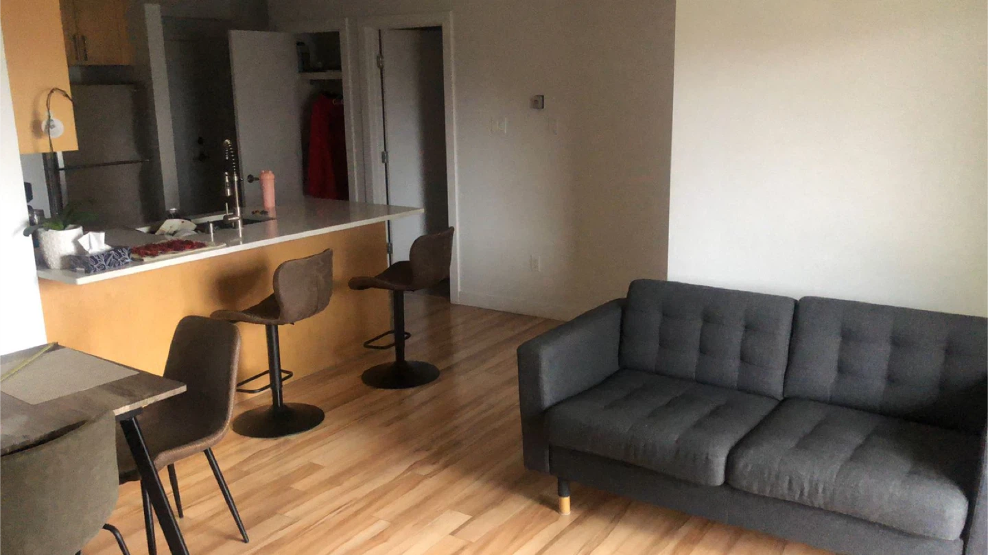 Comfortable Dark Grey Loveseat