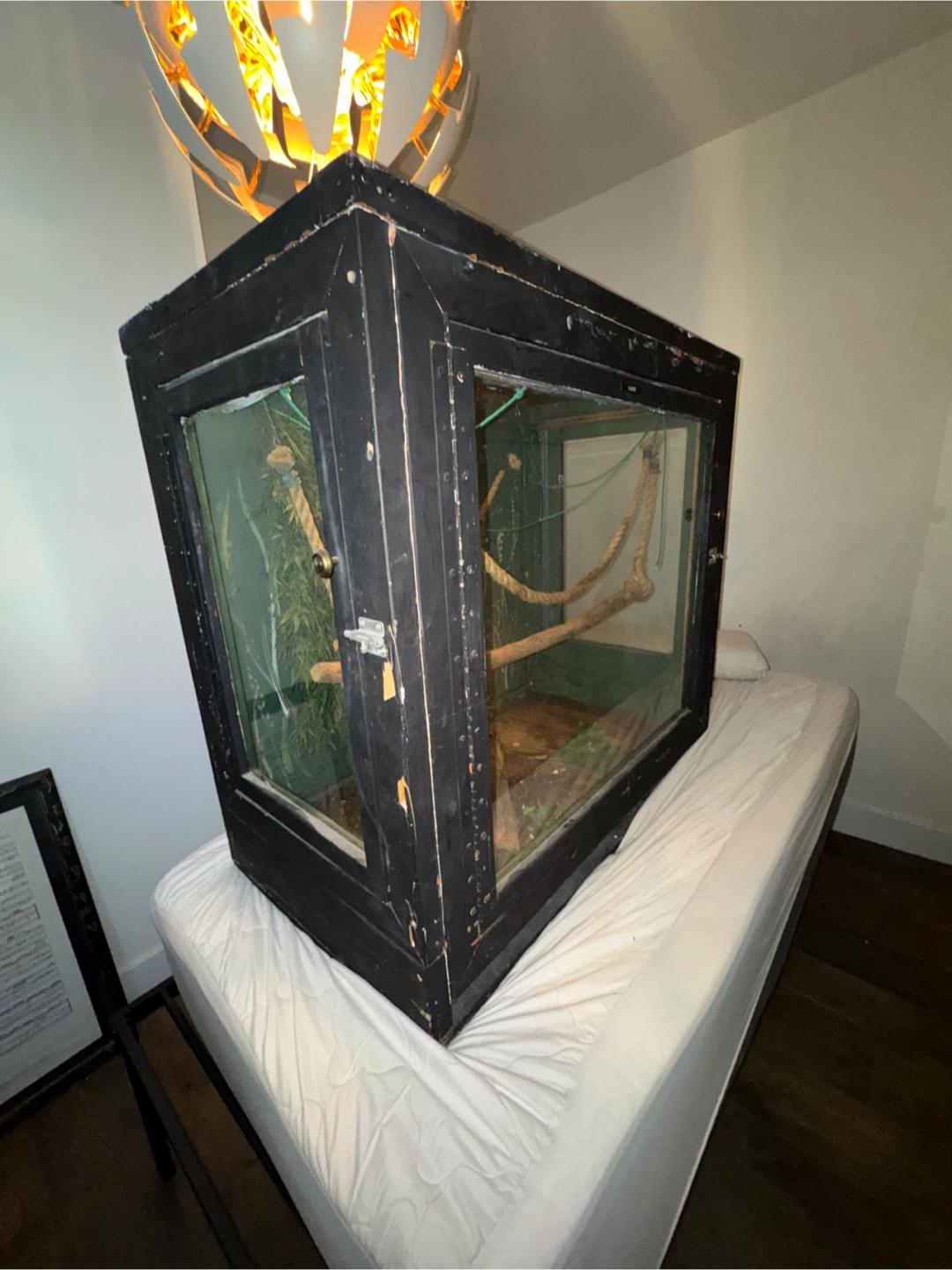 Large 4x2x4 Snake / Reptile Enclosure - photo 3