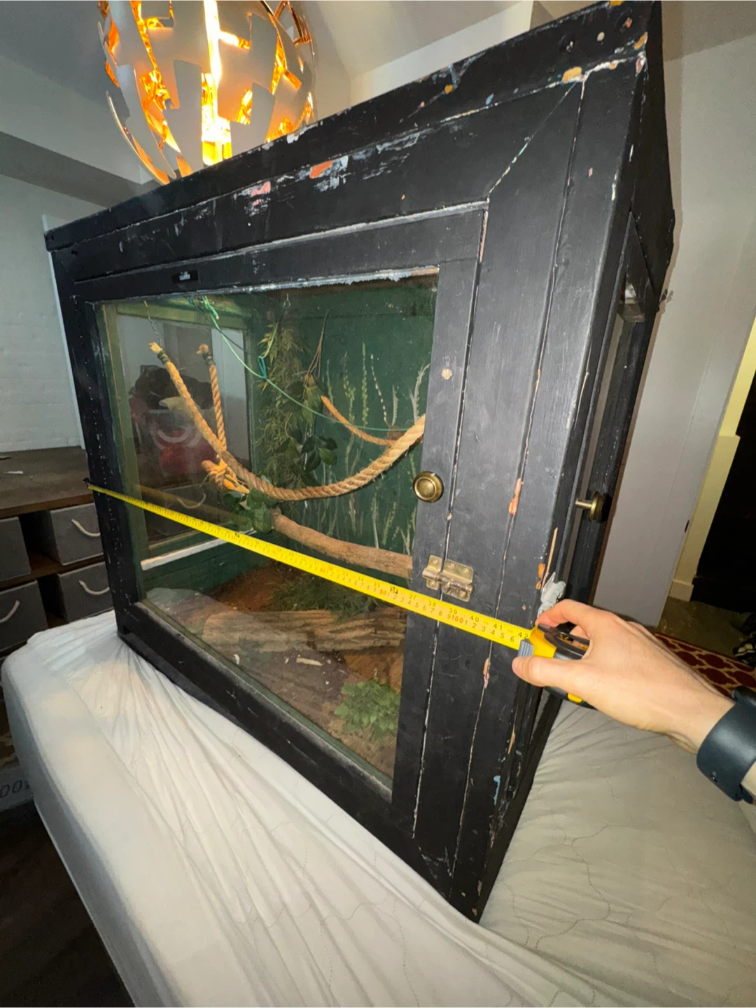 Large 4x2x4 Snake / Reptile Enclosure