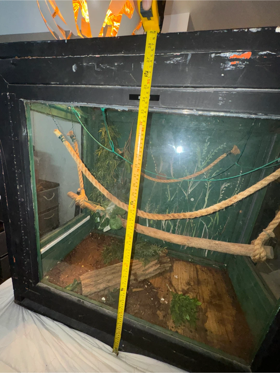 Large 4x2x4 Snake / Reptile Enclosure - photo 2