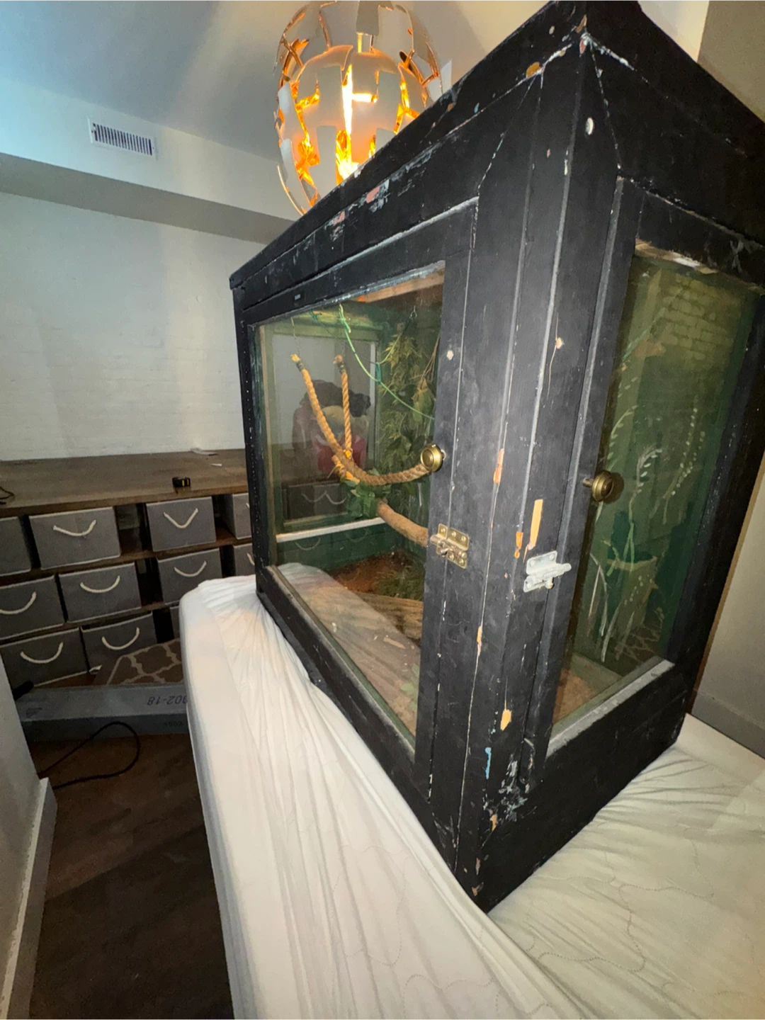 Large 4x2x4 Snake / Reptile Enclosure - photo 5