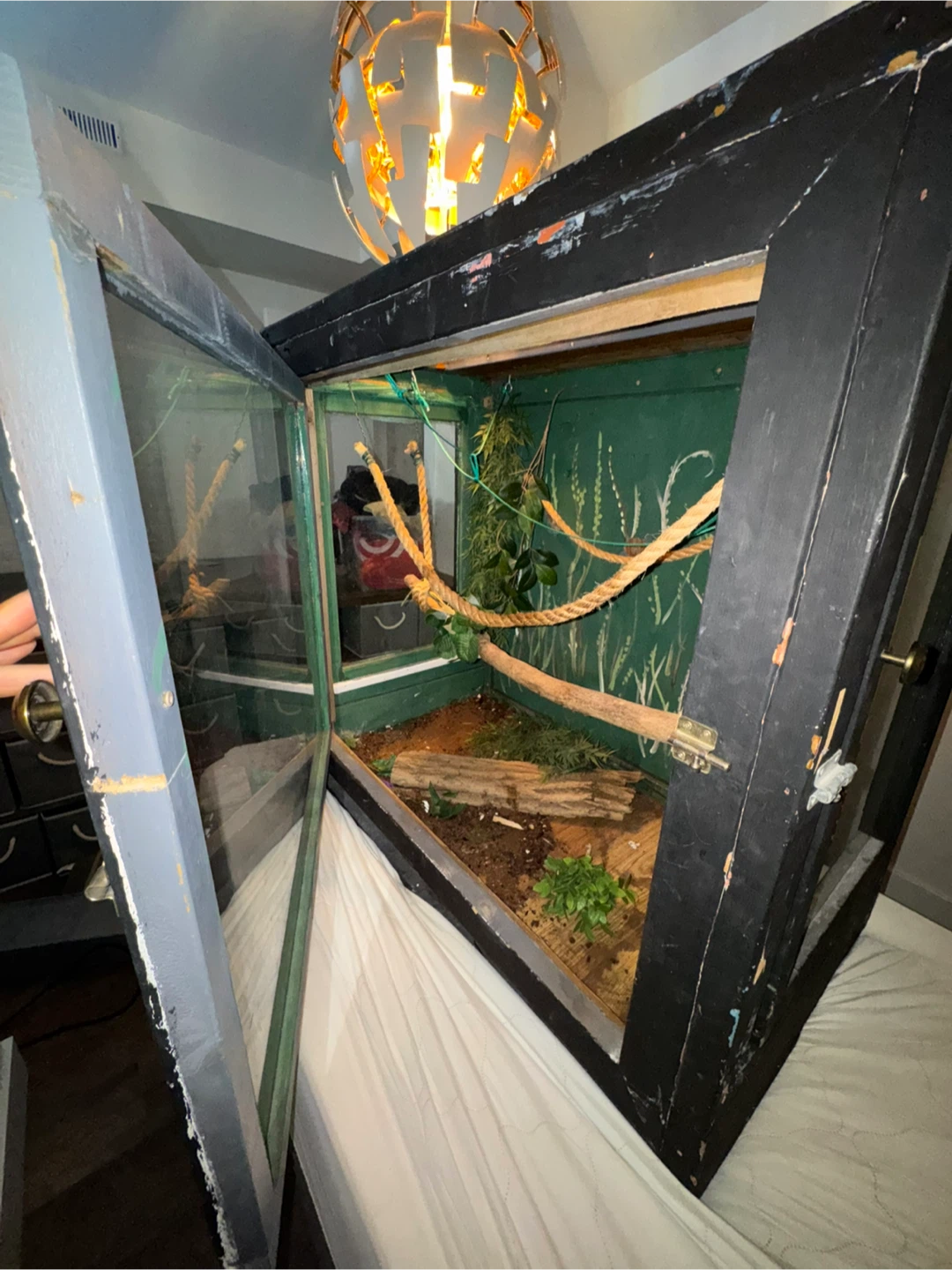 Large 4x2x4 Snake / Reptile Enclosure - photo 4