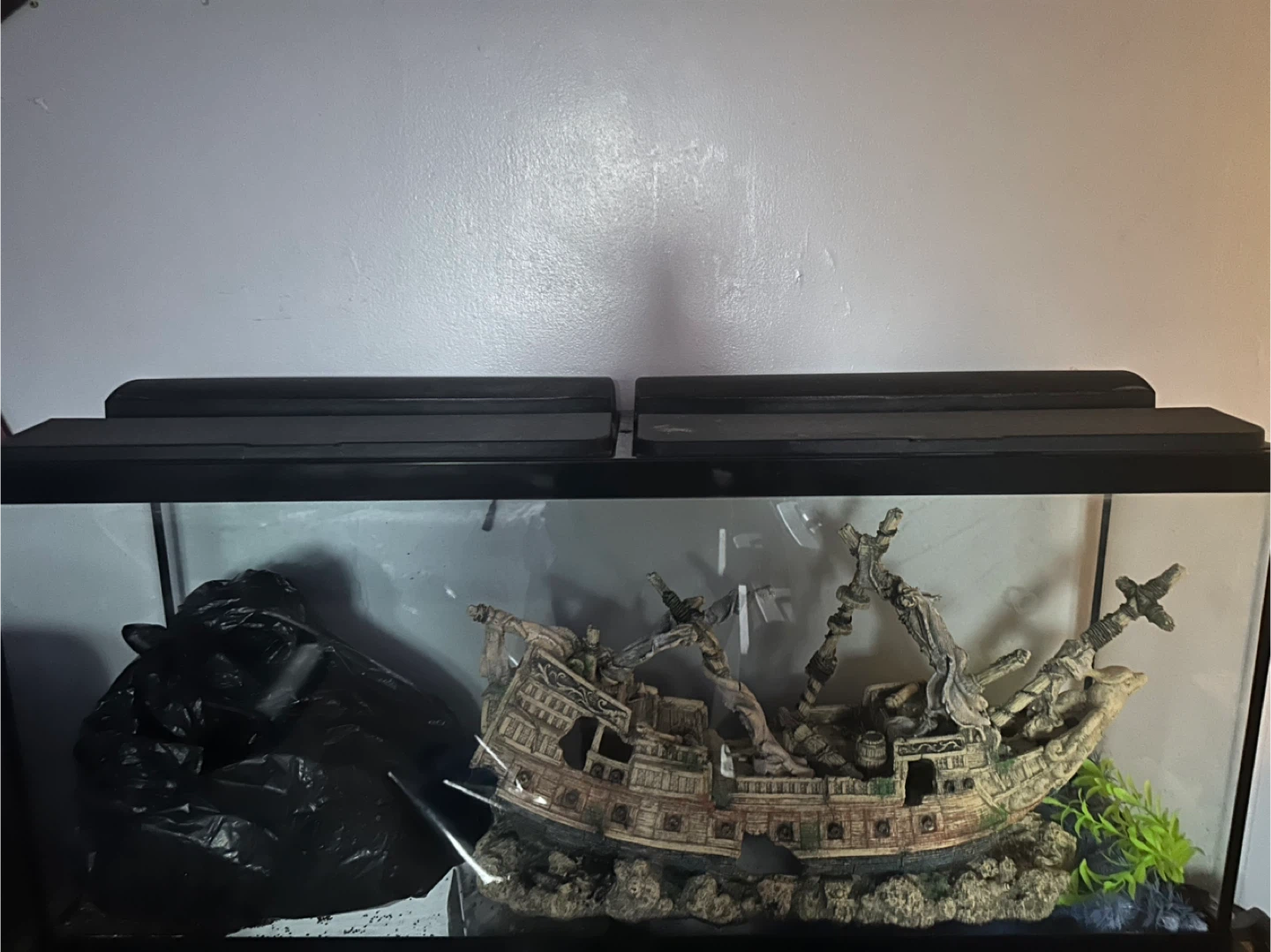 Aquarium Decorations and Tank - photo 2