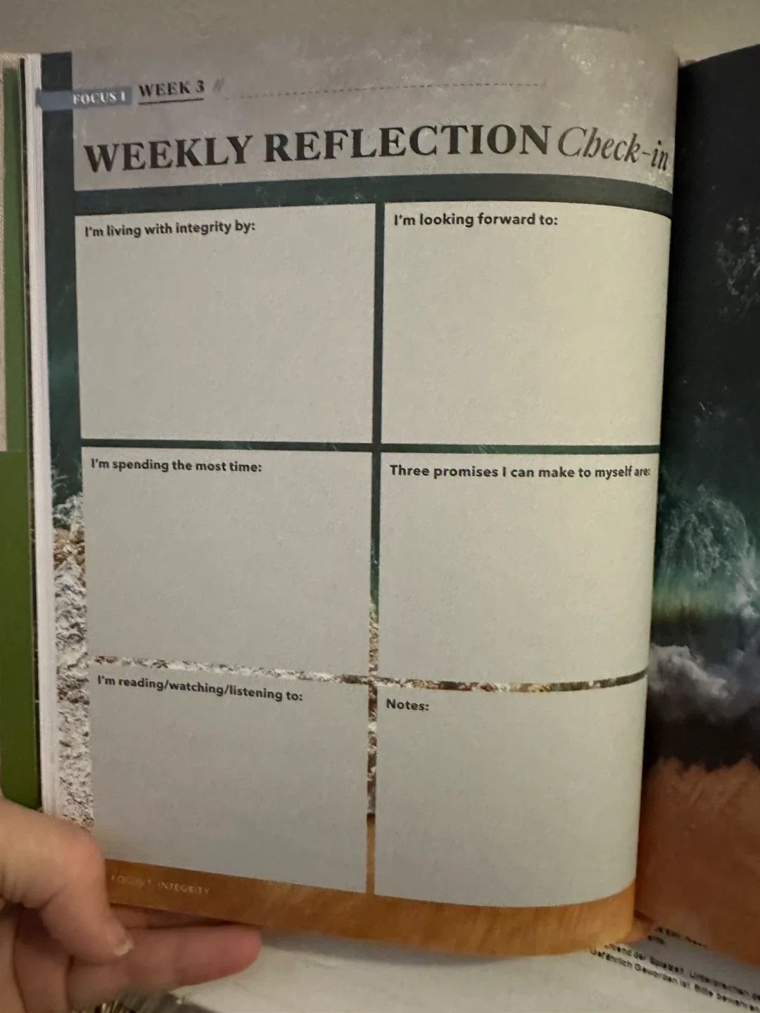 🥕 Oprah's The Life You Want Planner 🥕 image indicator(6)