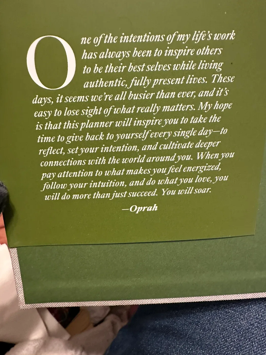 🥕 Oprah's The Life You Want Planner 🥕 image indicator(4)