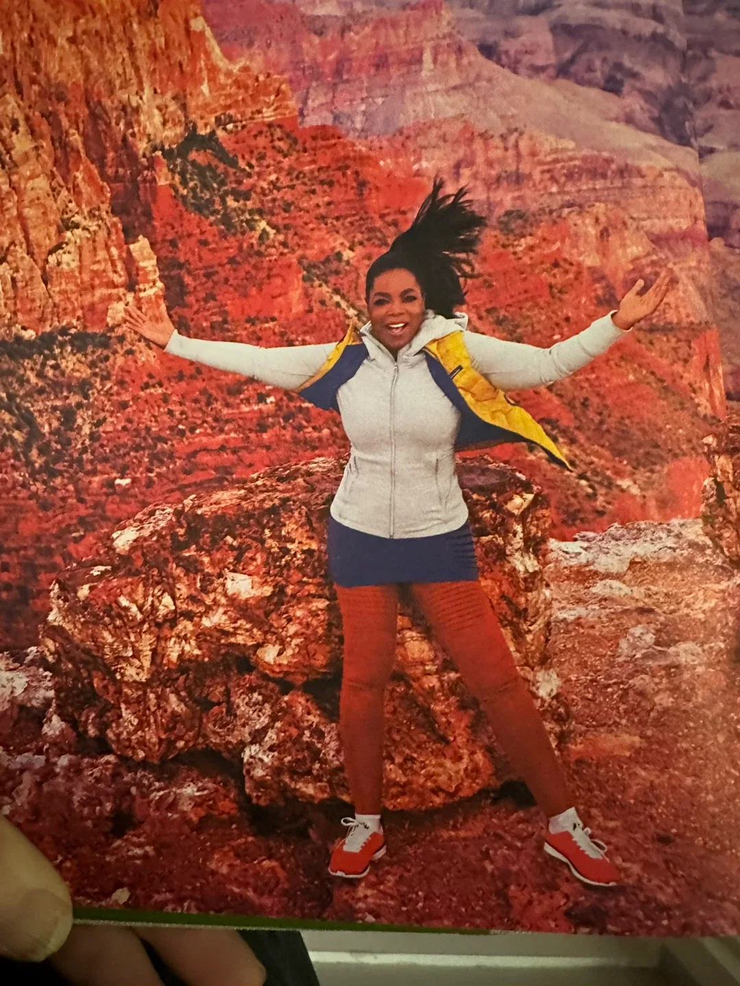 🥕 Oprah's The Life You Want Planner 🥕 thumbnail