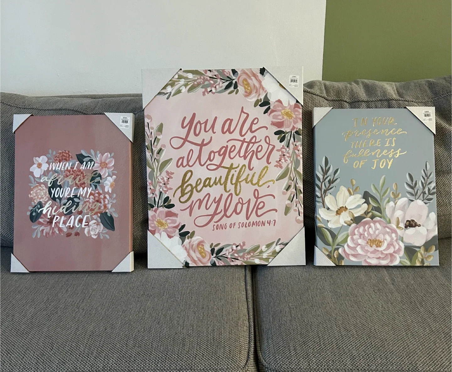 Set of 3 Floral Wall Art Canvases 🥕