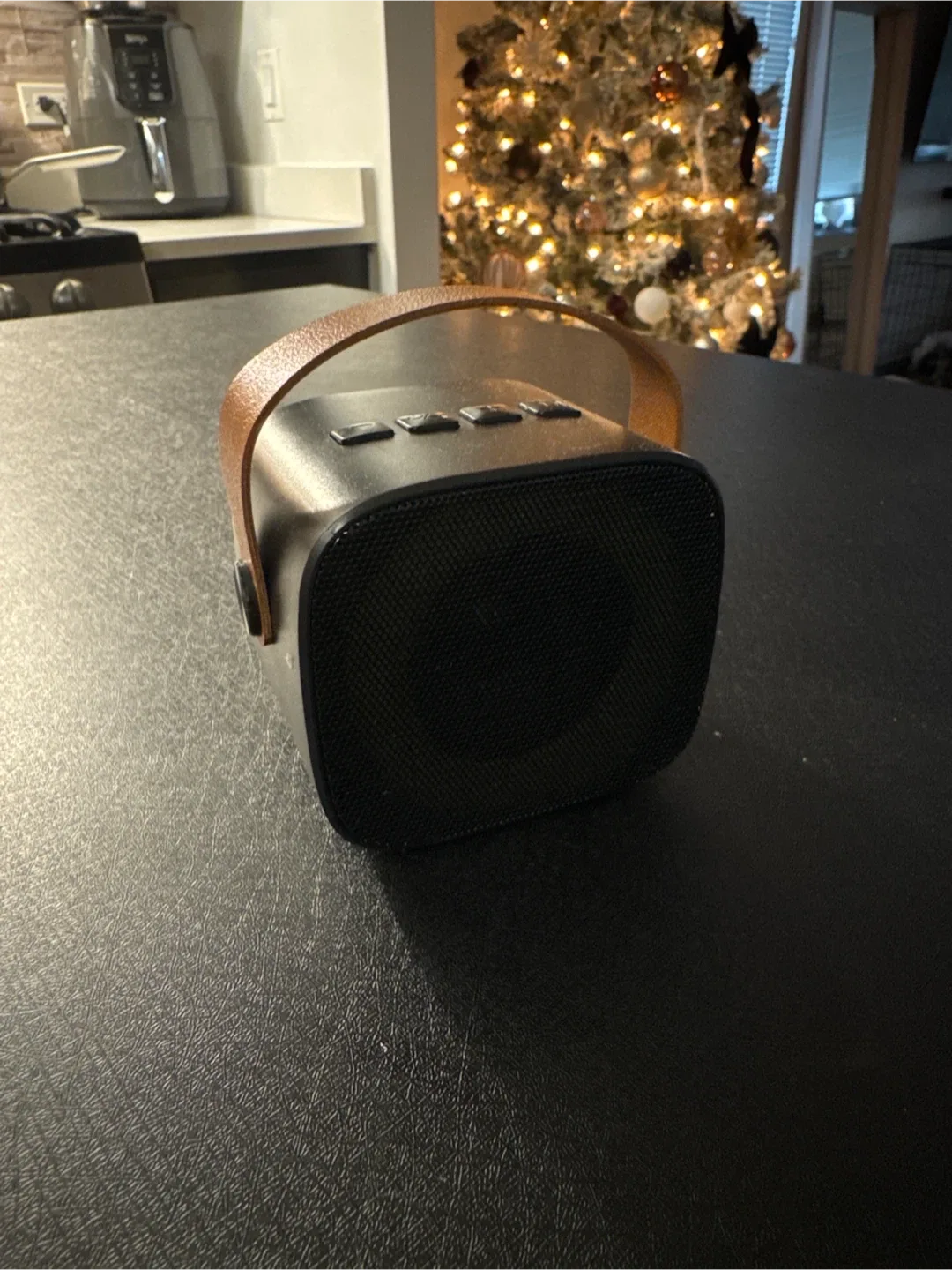 Portable Black Speaker w/ Handle 🥕