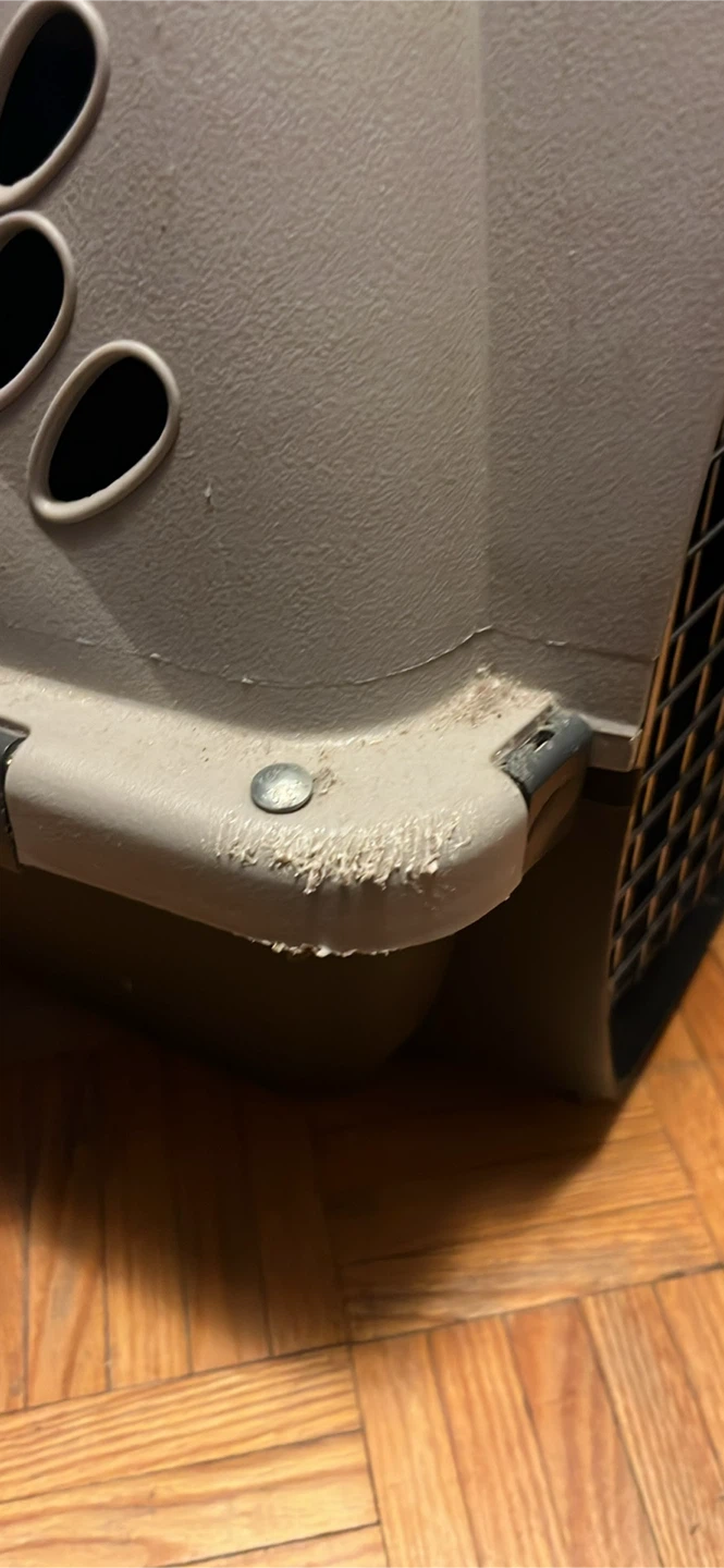Petmate Pet Carrier - photo 4