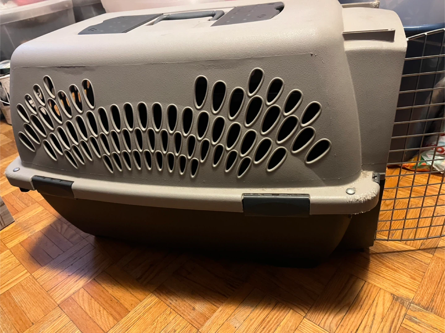 Petmate Pet Carrier