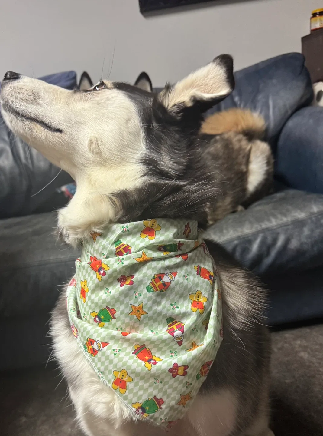Handmade holiday dog bandanas image indicator(2)
