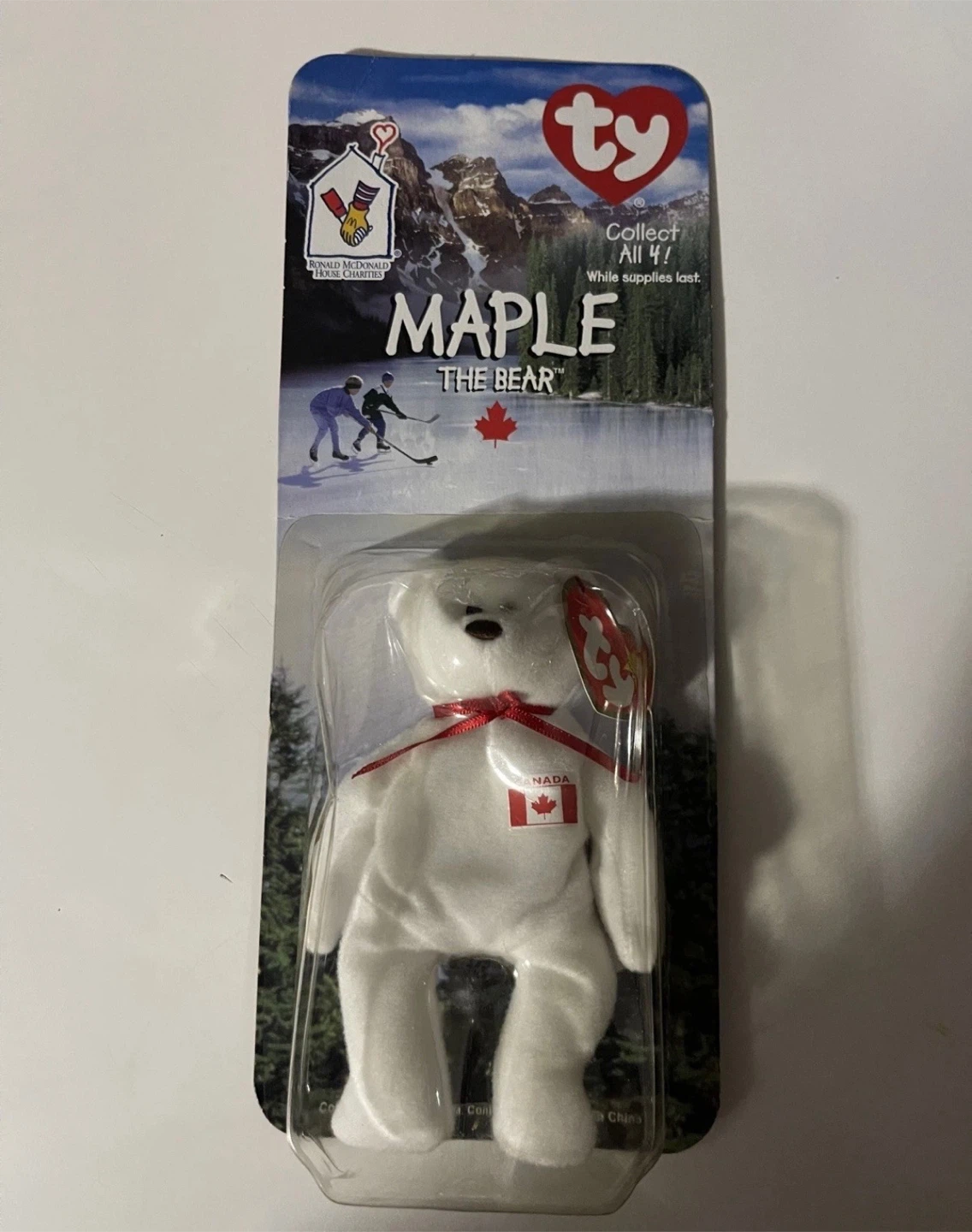 Ty Maple the Bear - Collect All 4!