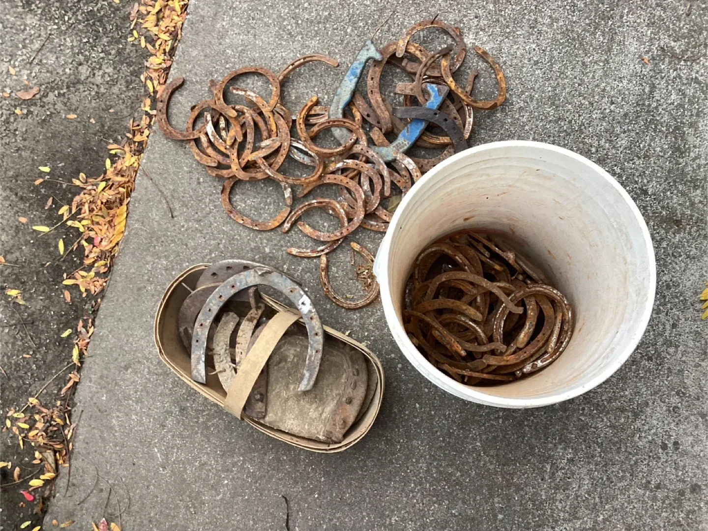Lots o’ Antique Iron Horse Shoes ! thumbnail