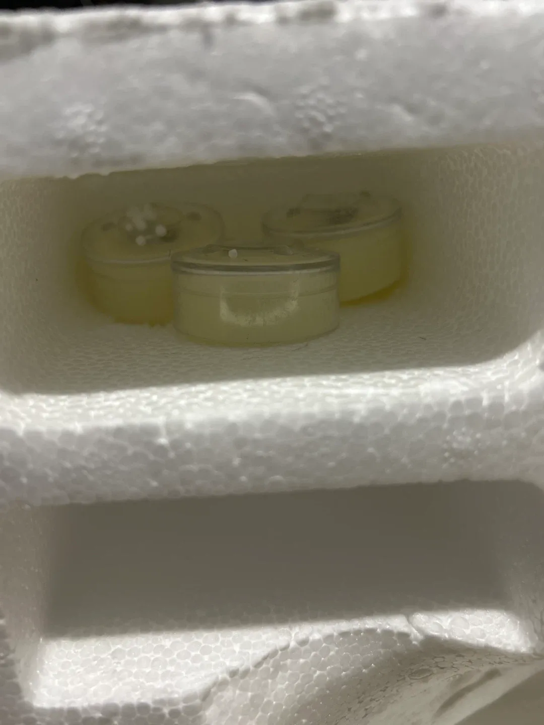 Candle holder 🥕 image indicator(3)