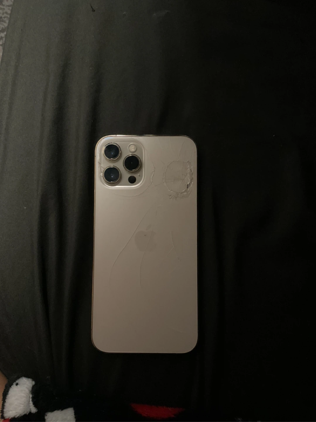iPhone 12 Pro Max 256GB - photo 2