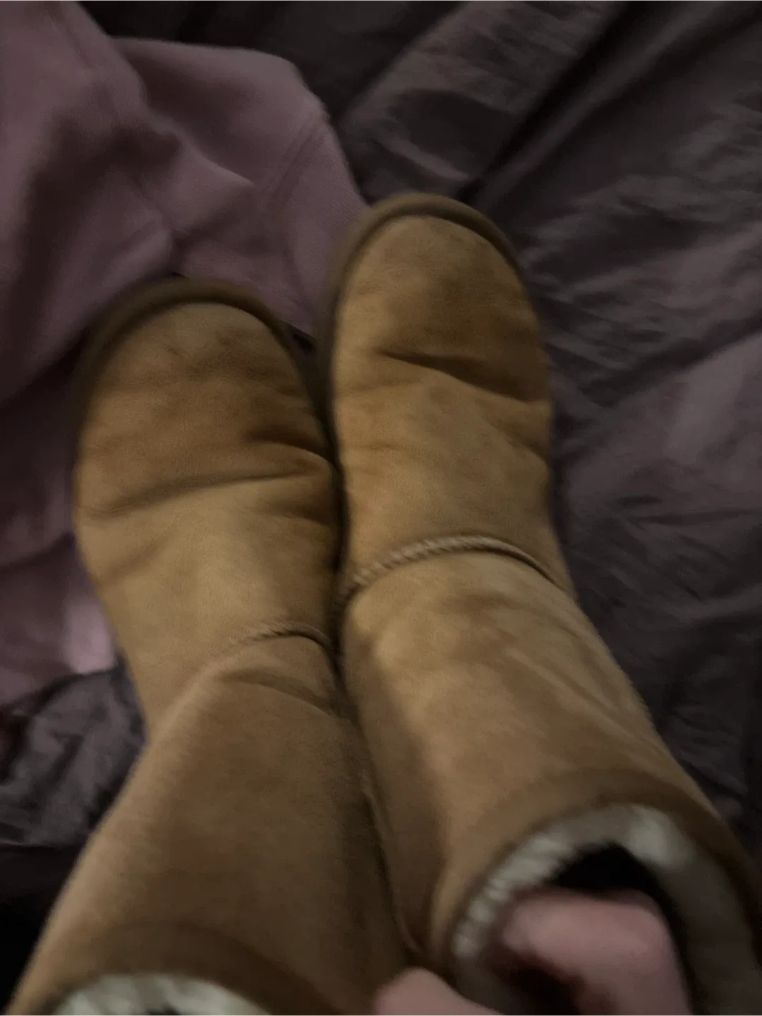 UGG Classic Short Boots, Size 7 image indicator(2)