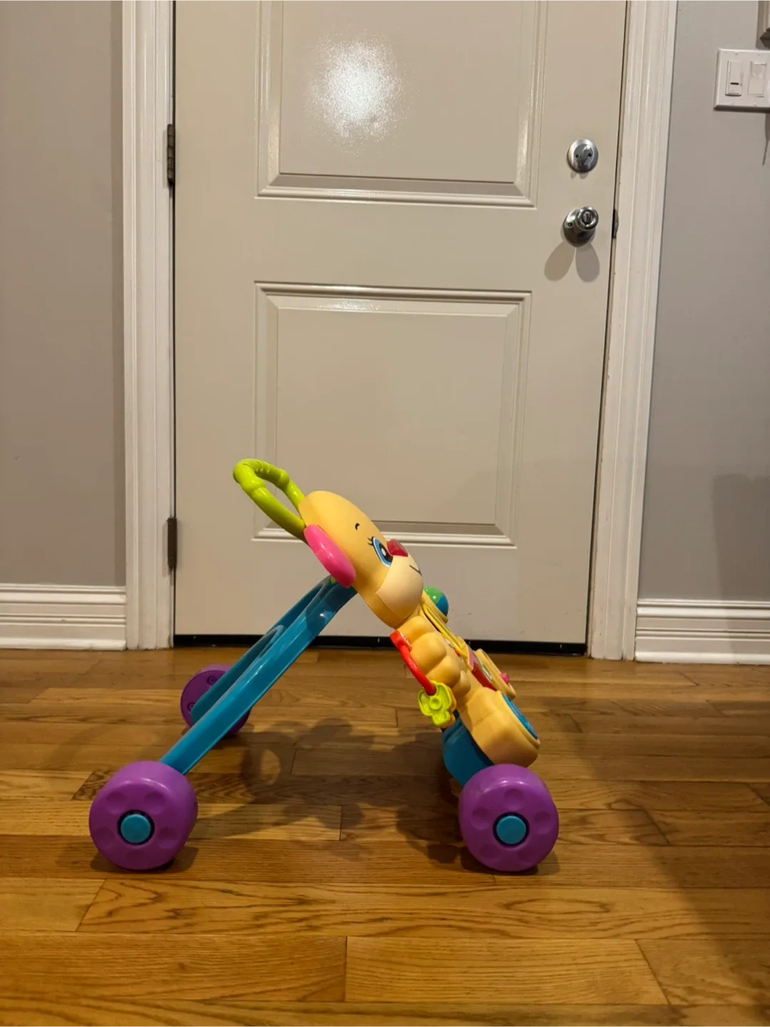 Fisher-Price Learn with Lights Walker image indicator(2)