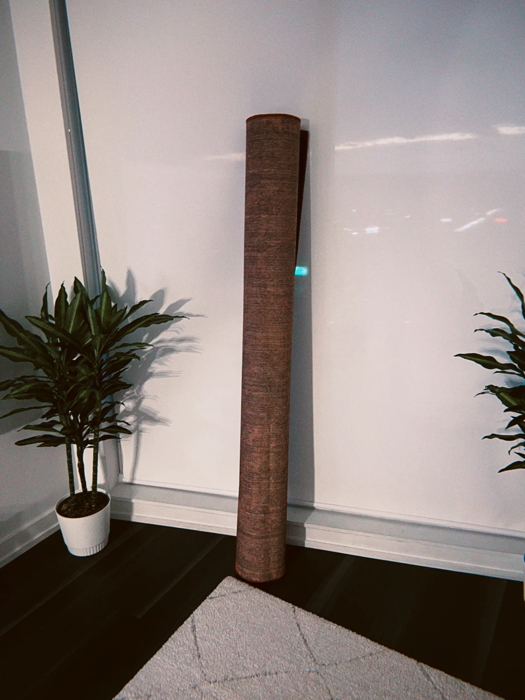 Area Rug (170x230cm) - photo 3
