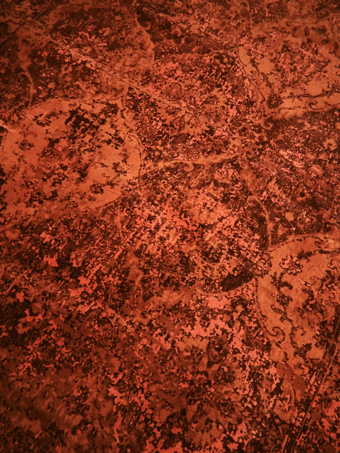 Area Rug (170x230cm) - photo 2