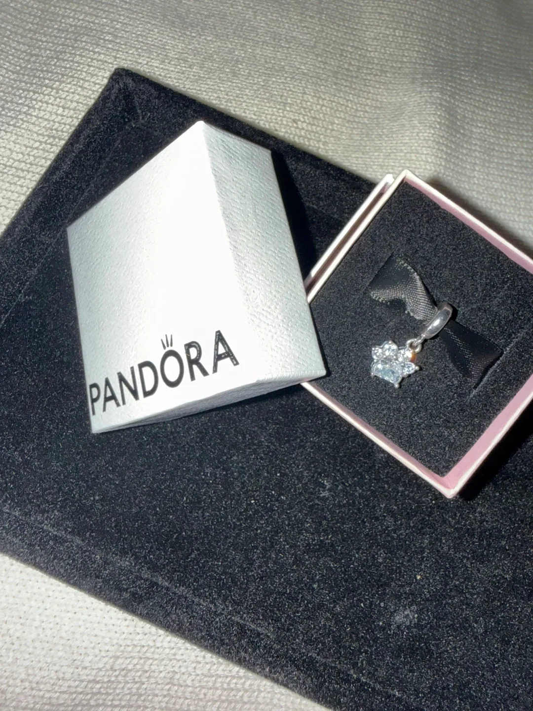 Pandora Paw Print Charm 🥕 image indicator(2)