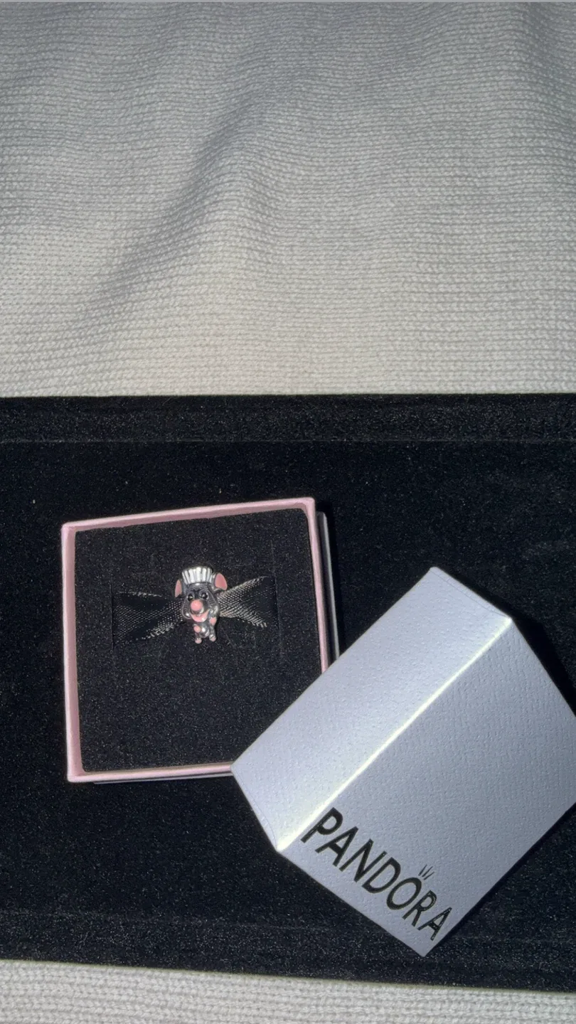 Disney Pixar Ratatouille Remy Charm 🥕