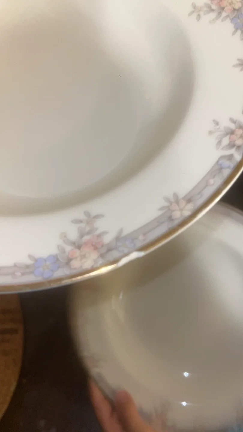 Floral Rimmed Soup plates image indicator(6)