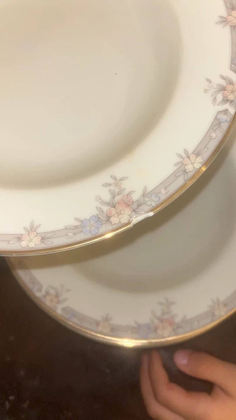 Floral Rimmed Soup plates image indicator(4)