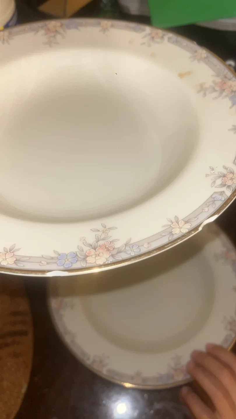 Floral Rimmed Soup plates image indicator(3)
