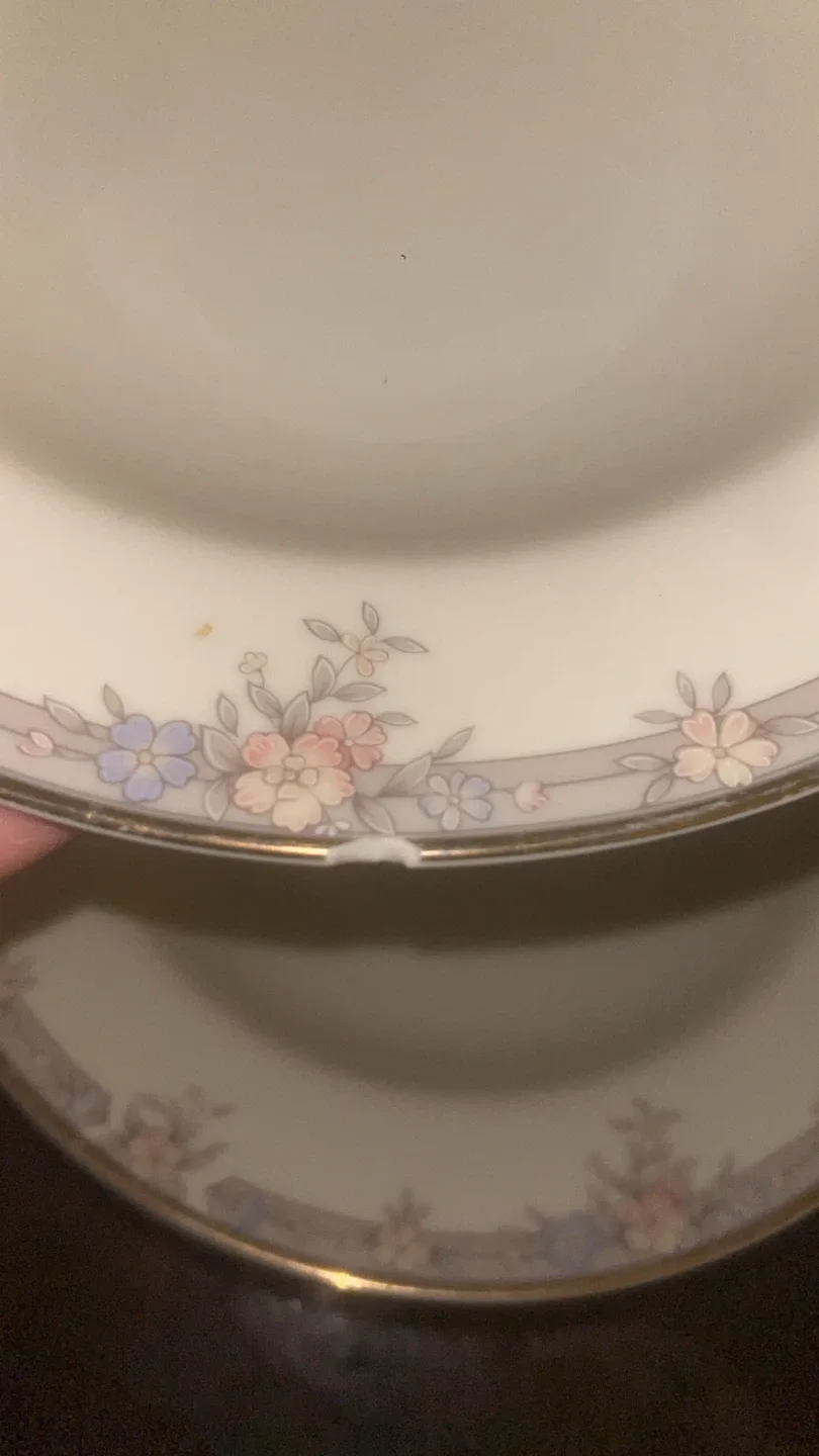 Floral Rimmed Soup plates image indicator(5)
