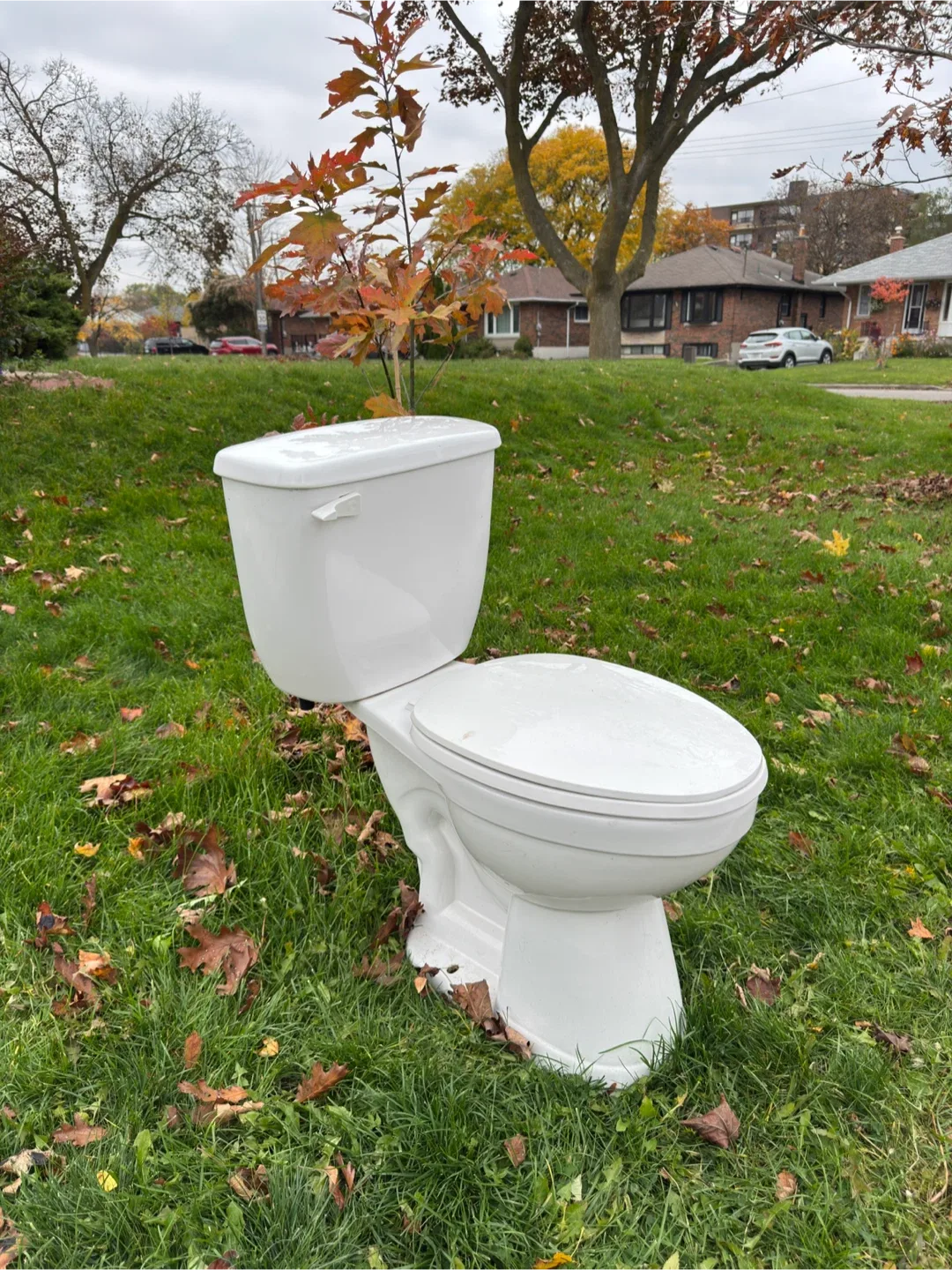 Free Toilet - White thumbnail