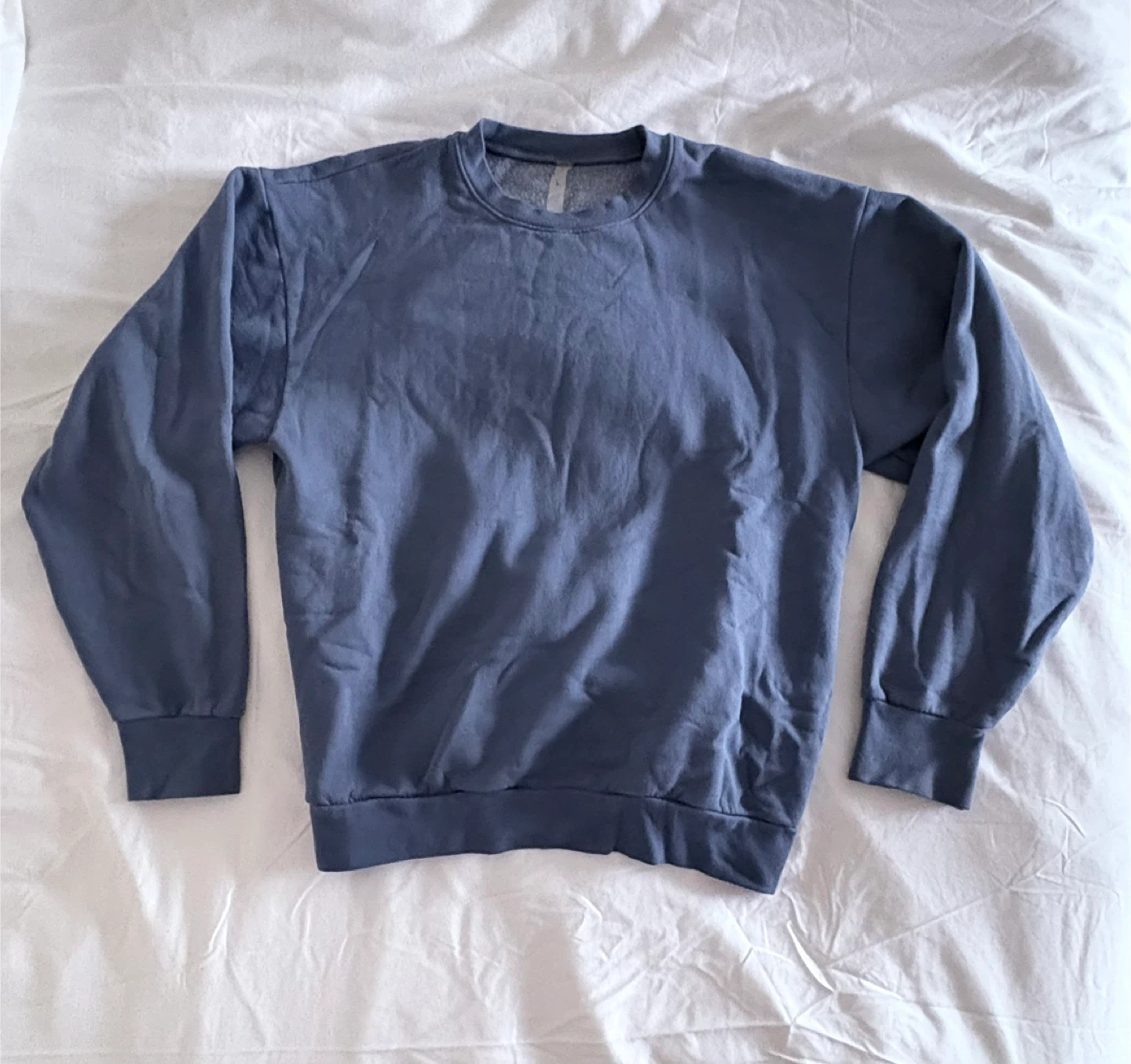 Aritzia Blue Crewneck
